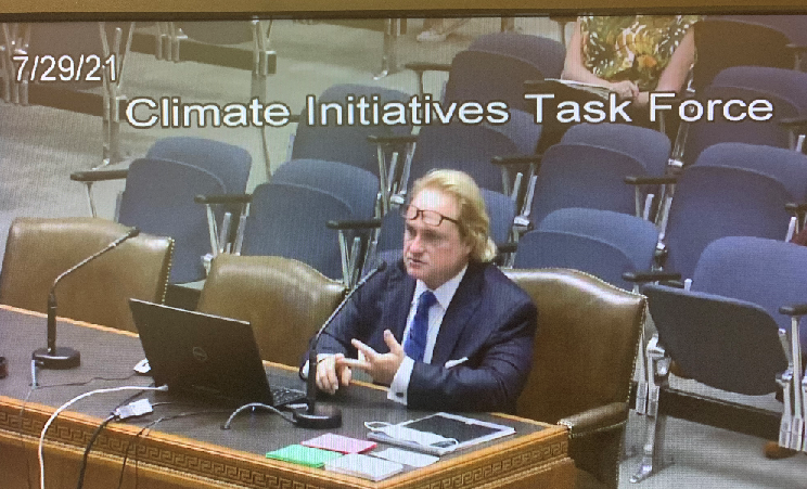 David Dismukes David Dismukes addresses committee