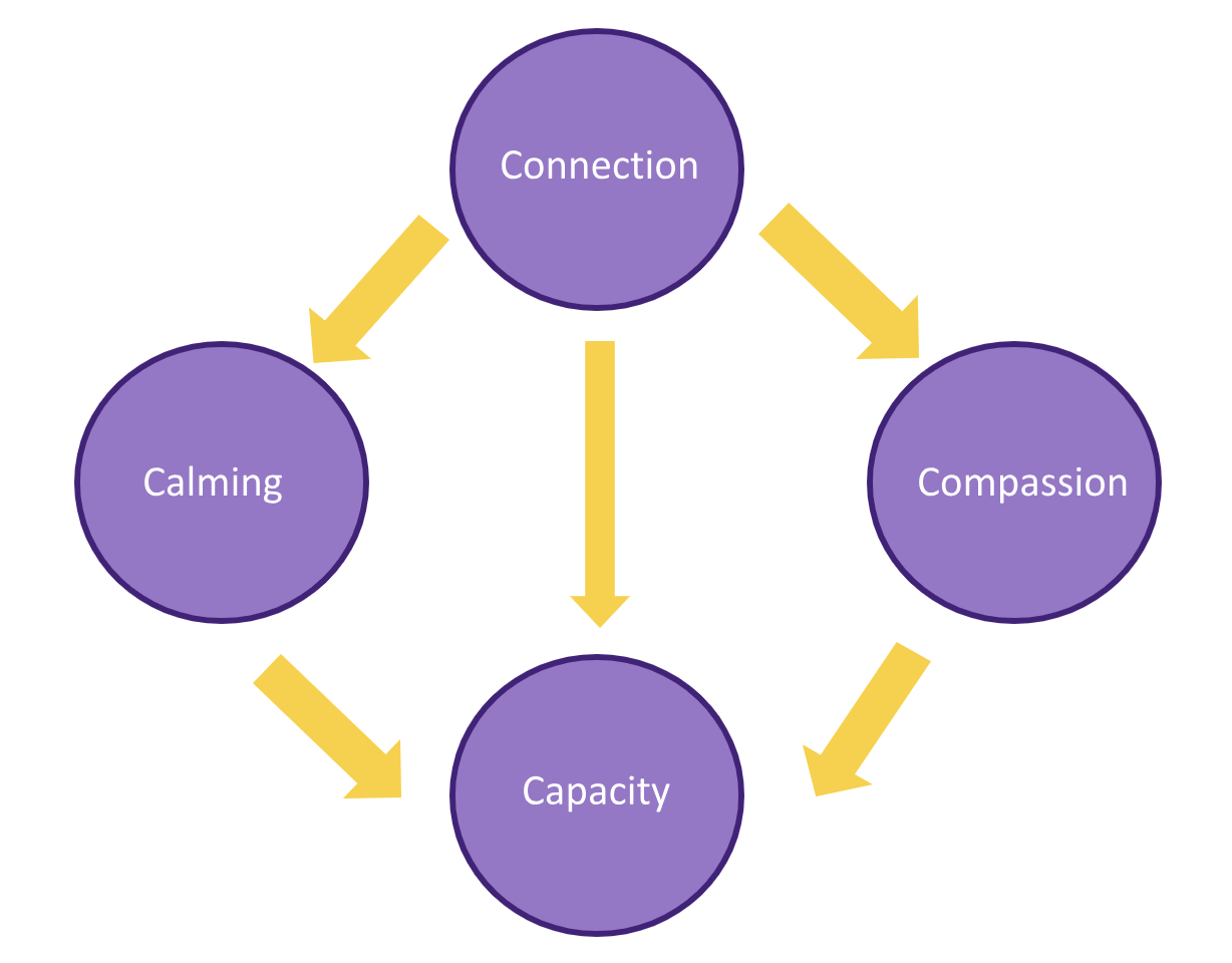 4Cs Diagram 4cs diagram - connection, compassion, calming leading to capactiy