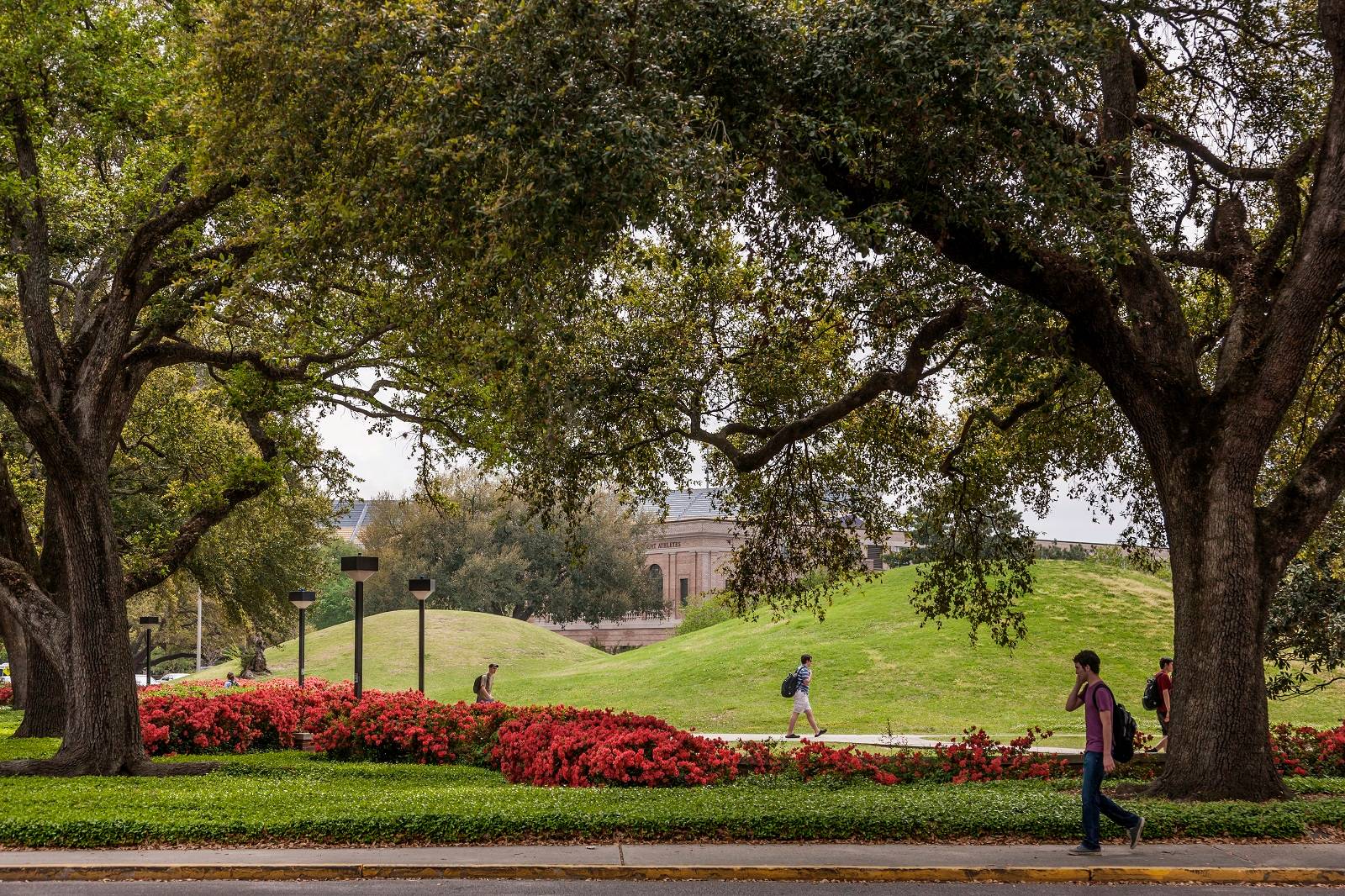 LSU Campus Mounds LSU Campus Mounds